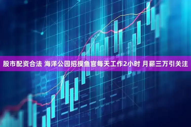 股市配资合法 海洋公园招摸鱼官每天工作2小时 月薪三万引关注