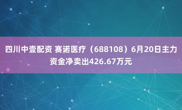 四川中壹配资 赛诺医疗（688108）6月20日主力资金净卖出426.67万元