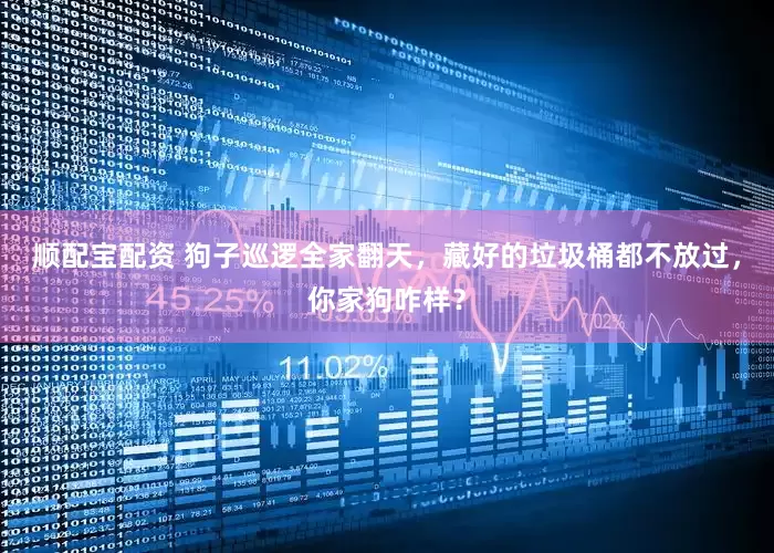 顺配宝配资 狗子巡逻全家翻天，藏好的垃圾桶都不放过，你家狗咋样？