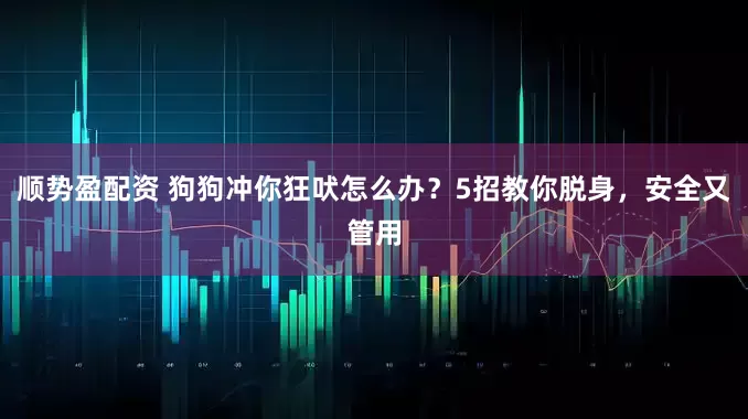 顺势盈配资 狗狗冲你狂吠怎么办？5招教你脱身，安全又管用