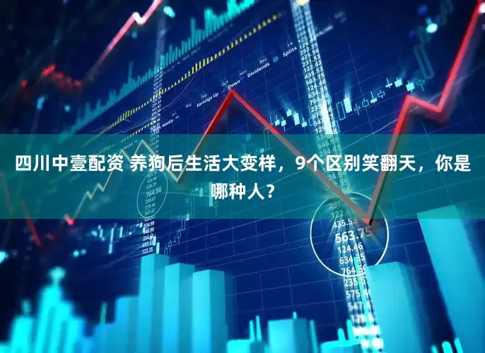 四川中壹配资 养狗后生活大变样，9个区别笑翻天，你是哪种人？