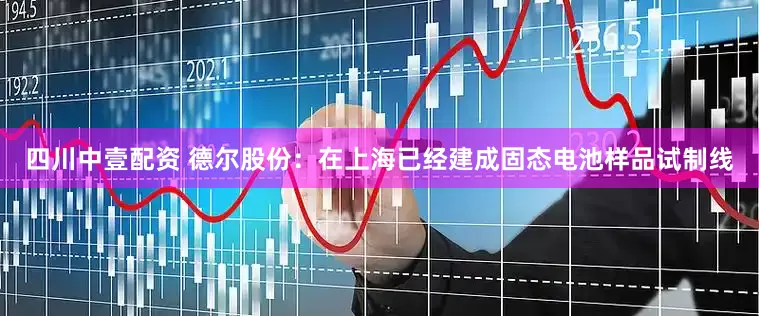 四川中壹配资 德尔股份：在上海已经建成固态电池样品试制线